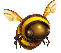image abeille.jpg (6.9kB)
Lien vers: PBA